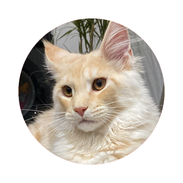 NellieB avatar
